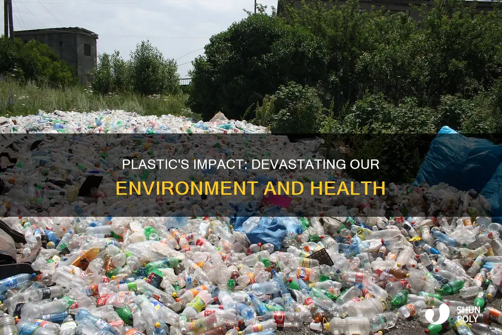 what does plastic do to our enviornment
