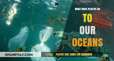 The Impact of Plastic on Our Oceans