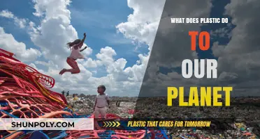 Plastic Pollution: Our Planet's Plastic Problem