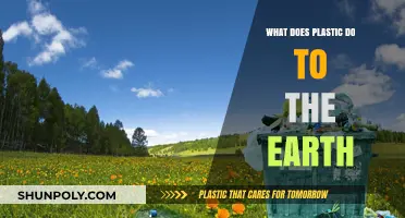 Plastic Pollution: Harming Our Planet and Health