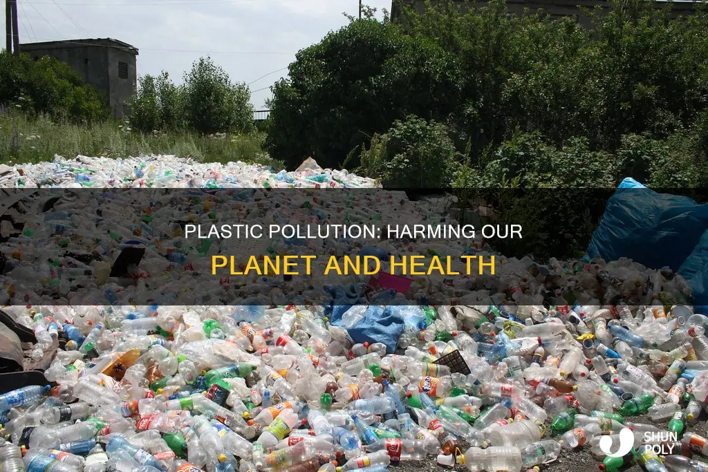 what does plastic do to the earth