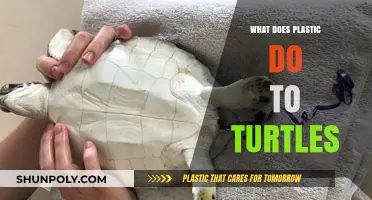 Plastic Impact: Turtles' Health and Habitat