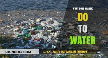 Plastic Pollution: The Impact on Our Waterways