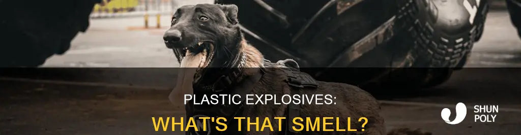 what does plastic explosive smell like