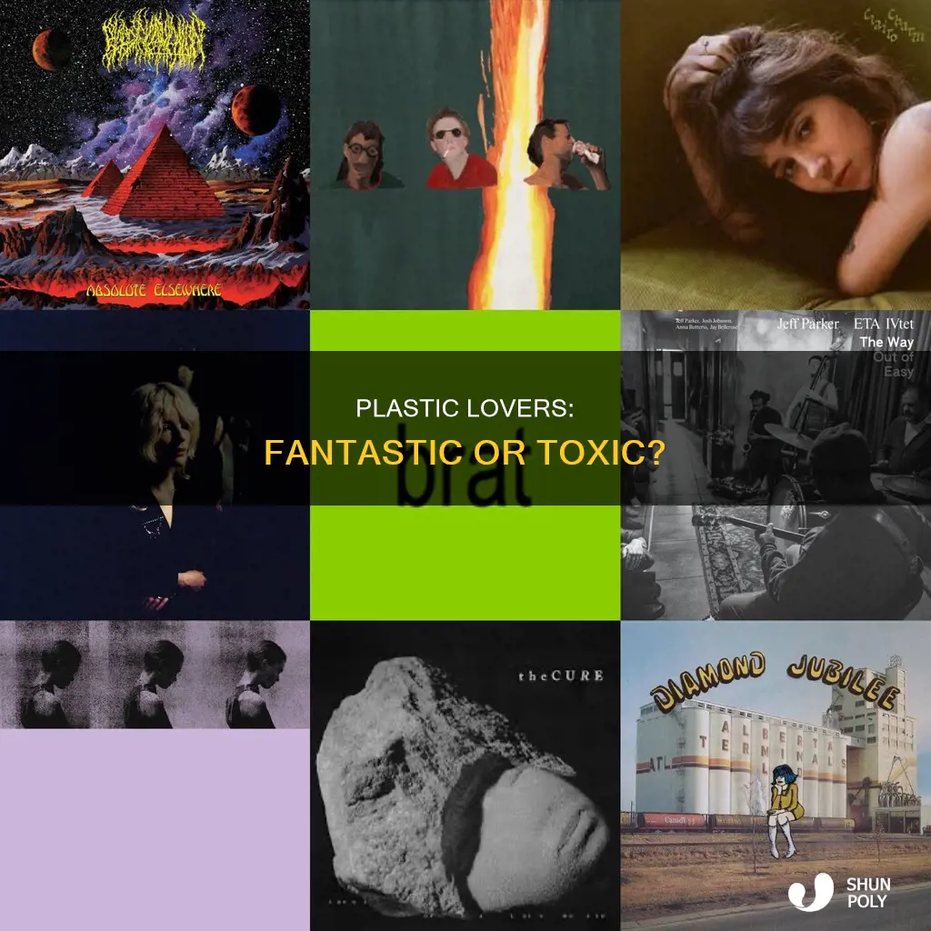 what does plastic fantastic lover mean