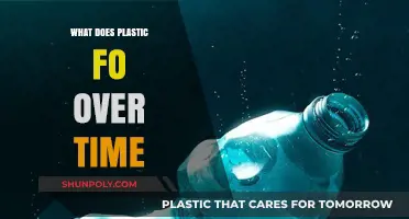 The Evolution of Plastic: What's Next?