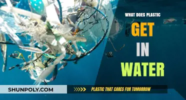 How Plastic Pollution Contaminates Water Sources and Harms Ecosystems