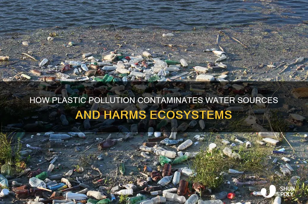 what does plastic get in water