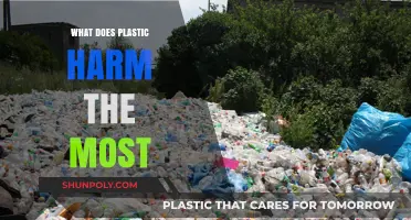 Plastic's Worst Impact: A Global Pollution Crisis