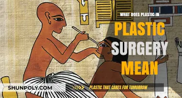 Understanding the Origin of 'Plastic' in Plastic Surgery: A Historical Perspective