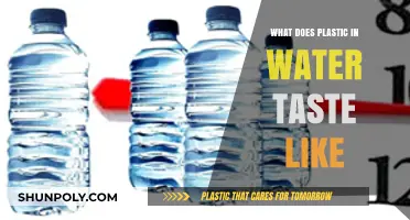 Plastic Taste in Water: What's the Deal?