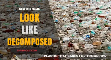 Plastic Decomposition: The Ugly Truth Revealed