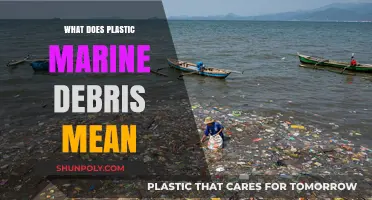 The Impact of Plastic Marine Debris