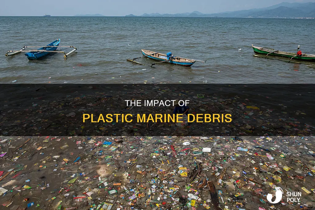 what does plastic marine debris mean