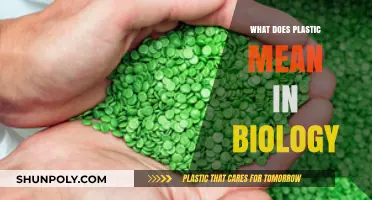 Plastic in Biology: Its Meaning and Impact
