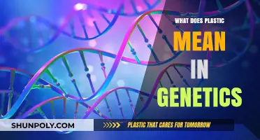 Plasticity in Genetics: What Does It Mean?