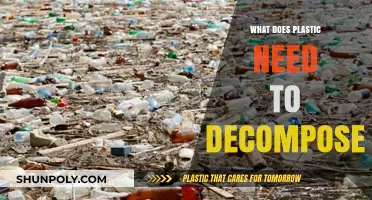 Plastic Decomposition: The Long, Slow Process