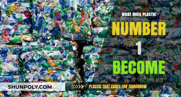 Recycling Plastic #1: Transforming into Something Useful