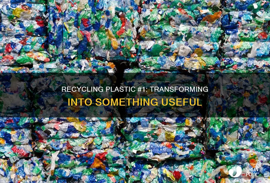 what does plastic number 1 become