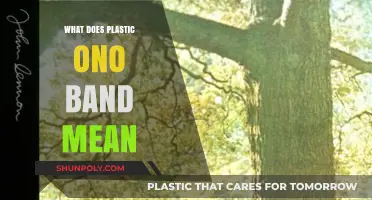 Plastic Ono Band: John and Yoko's Conceptual Art