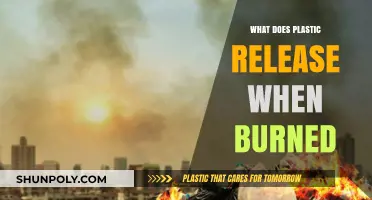 Plastic Burning: Toxic Fumes and Health Hazards