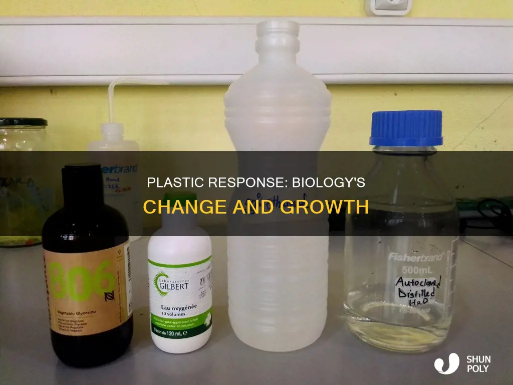 what does plastic response mean in biology