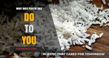 Plastic Rice: What Are the Health Risks?