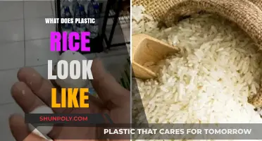 Plastic Rice: How to Spot the Fake