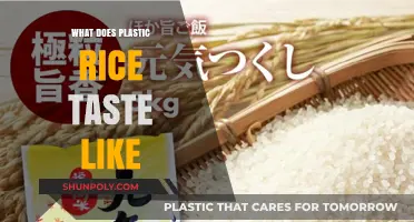 Plastic Rice: Taste and Health Risks