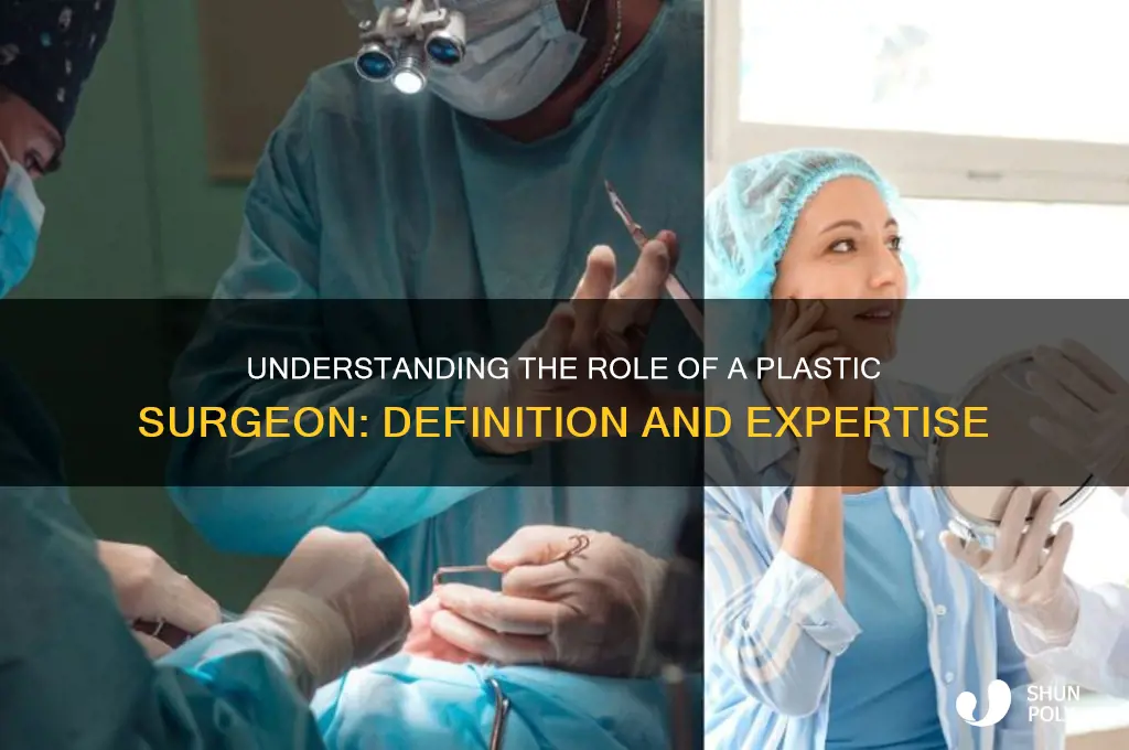 what does plastic surgeon mena