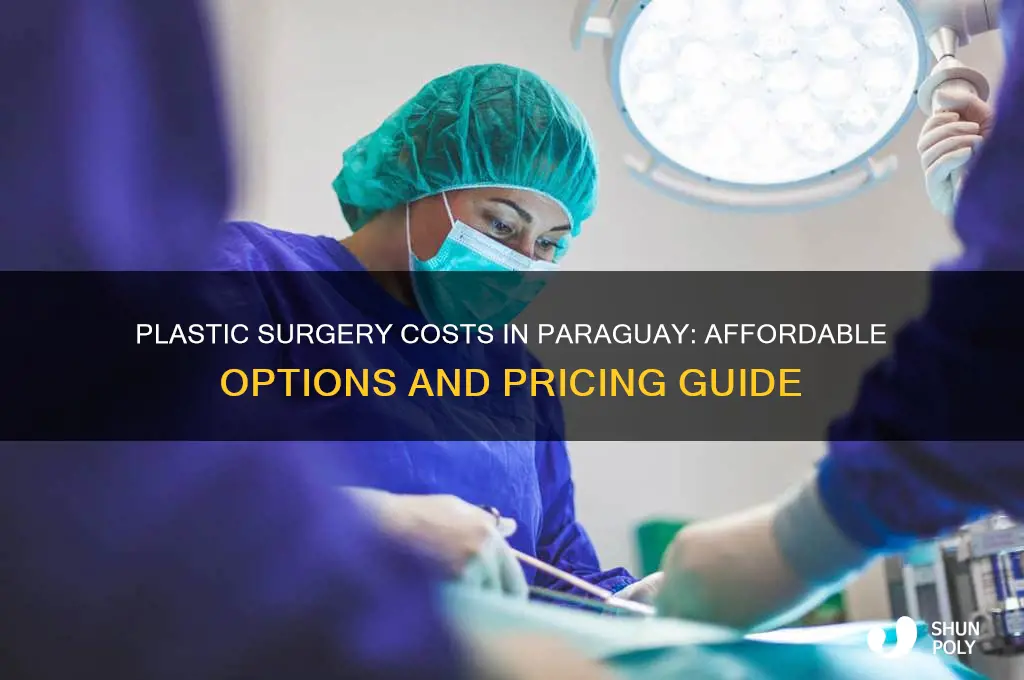 what does plastic surgery cost in paraguay