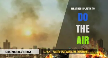 Plastic Pollution: Harming Our Air and Health