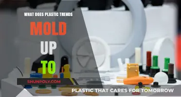 Plastic Trends: Molding the Future