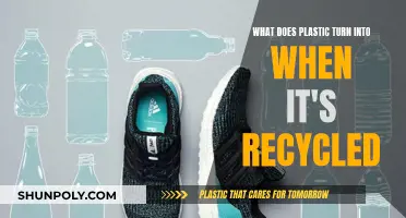 The Evolution of Plastic: Recycled Materials Transformed