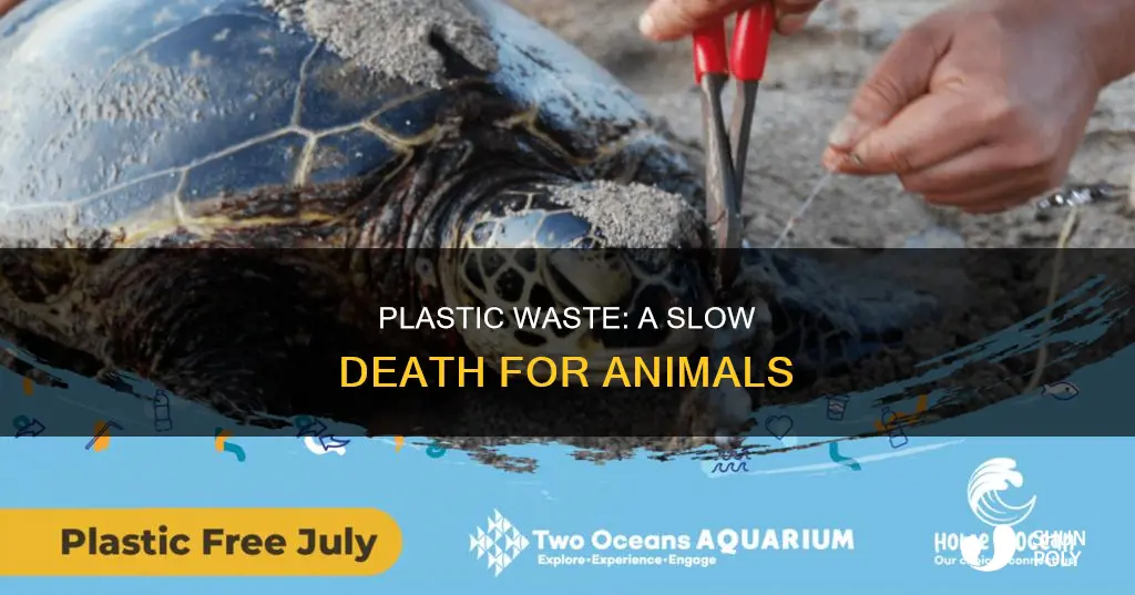 what does plastic waste do to animals