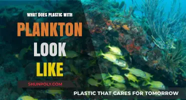 Plastic and Plankton: A Visual Guide to Marine Pollution