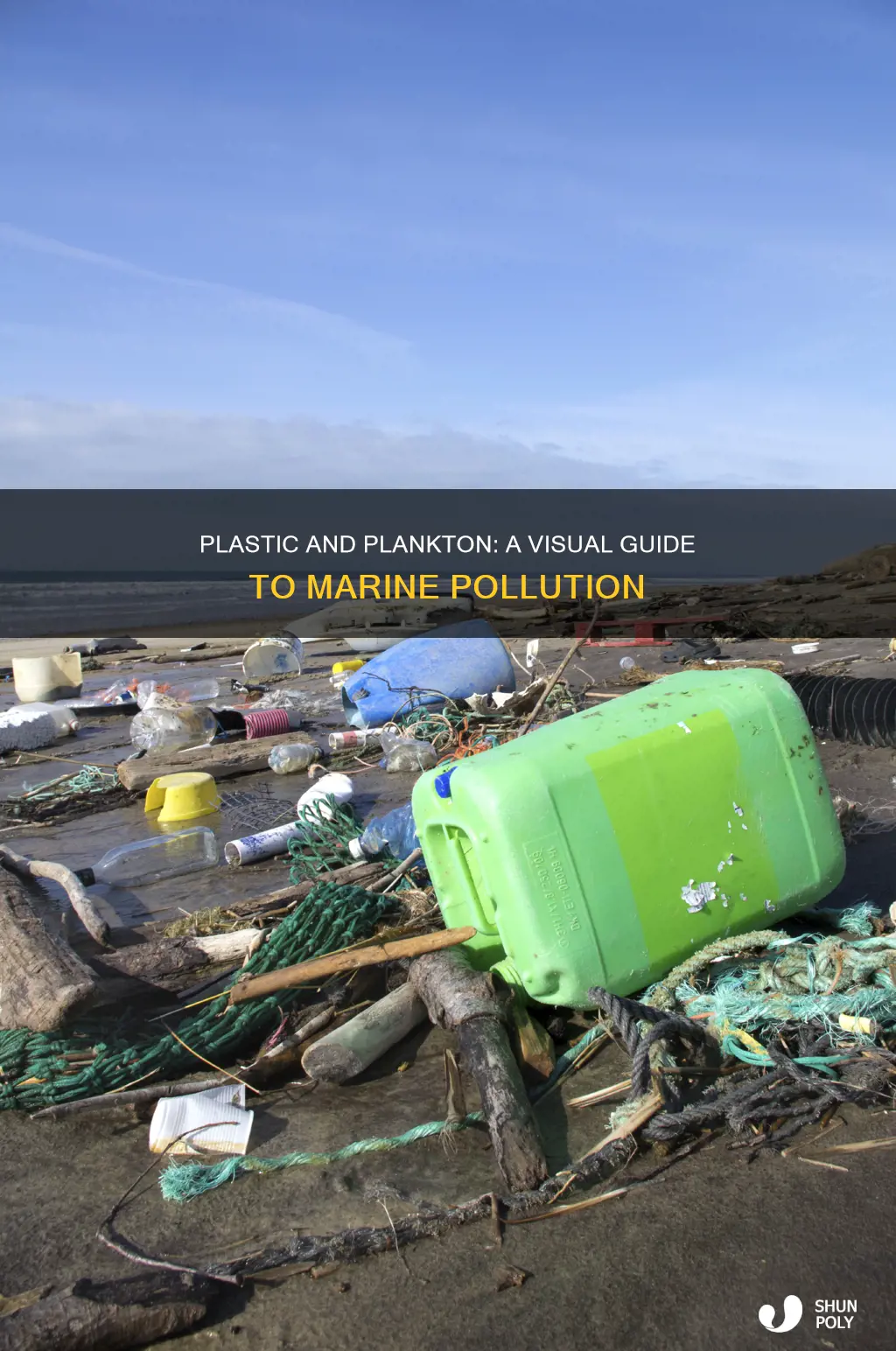 what does plastic with plankton look like