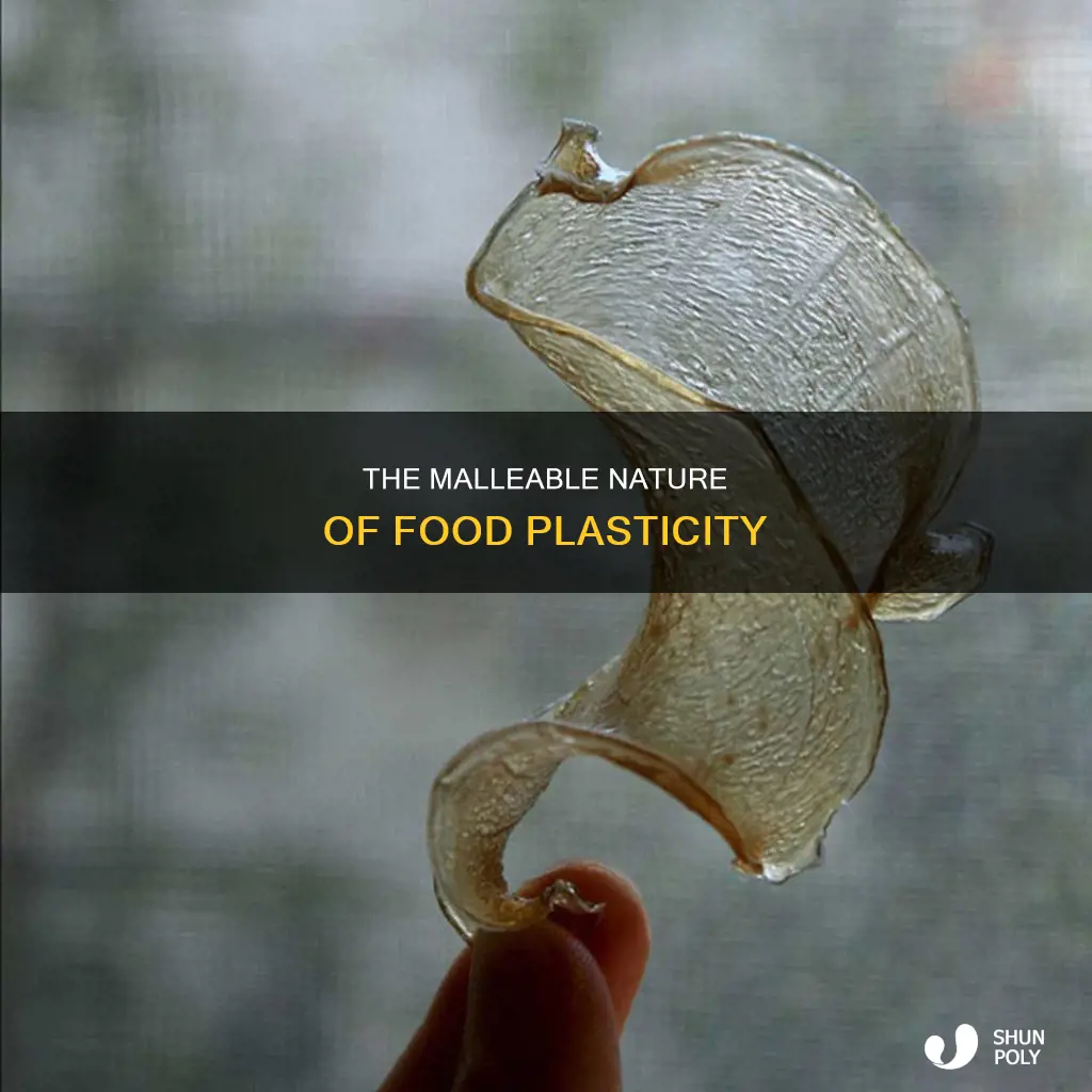 what does plasticity mean in food