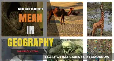 The Ever-Changing Nature: Geography's Plasticity Explained