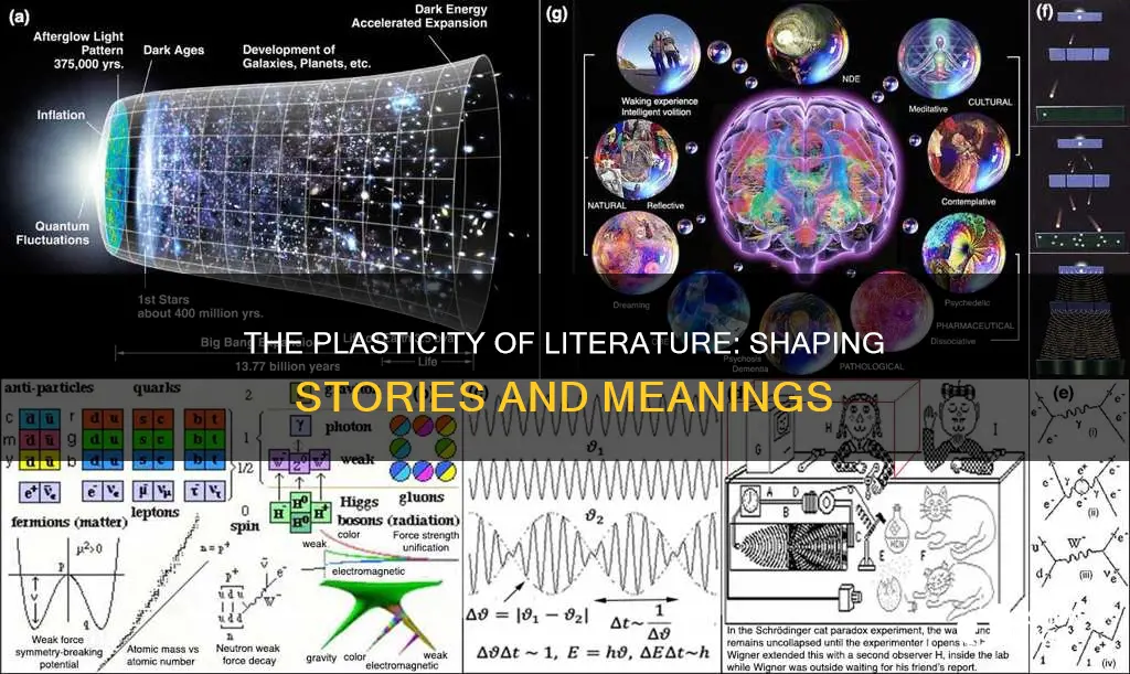 what does plasticity mean in literature