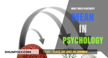 Brain Plasticity: Psychology's Revolutionary Understanding of Neuroplasticity