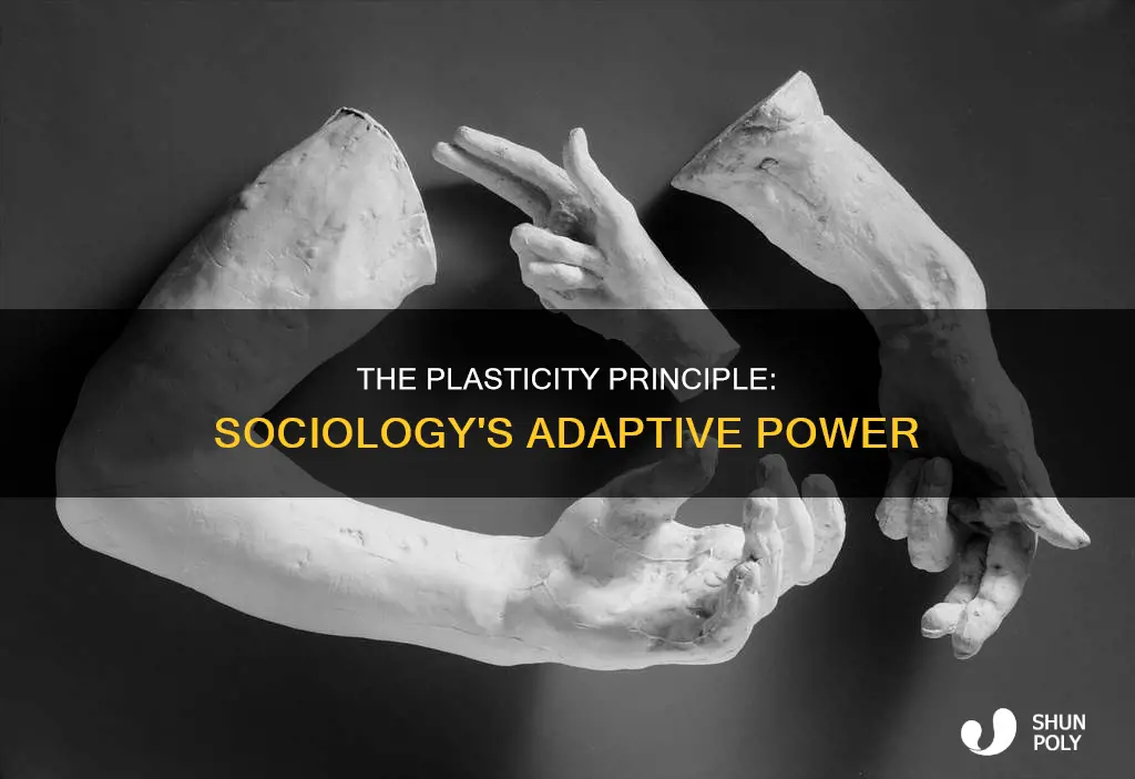 what does plasticity mean in sociology