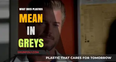 The Plastics in Grey's Anatomy: What Does It Mean?