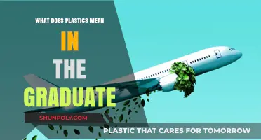 The Graduate's Plastics: A Guide to the Film's Iconic Symbolism