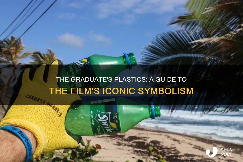 what does plastics mean in the graduate