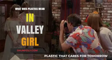 The Meaning of Plastics in Valley Girl Lingo