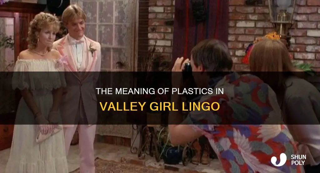 what does plastics mean in valley girl