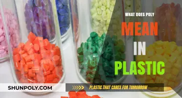 The Many Meanings of Poly in Plastic