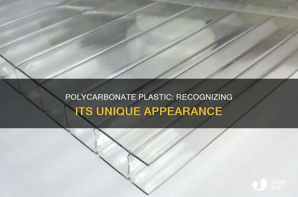 what does polycarbonate plastic look like