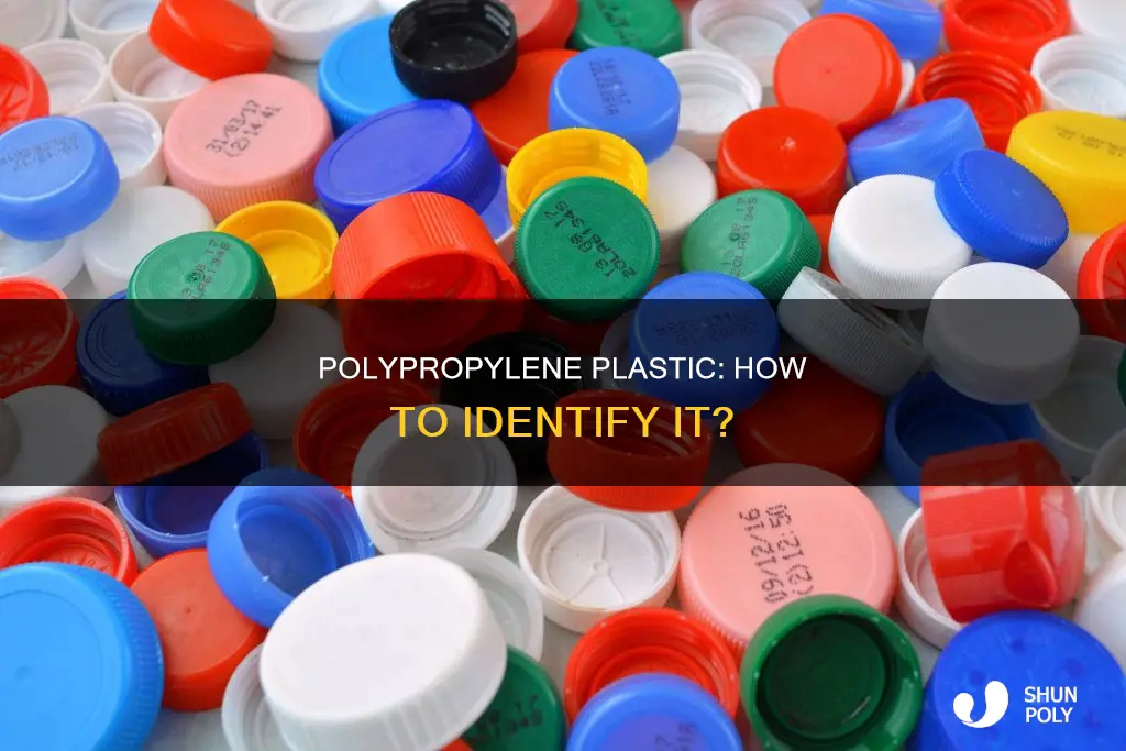 what does polypropylene plastic look like
